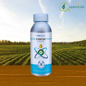 Contaf Fungicide containing Hexaconazole 5 percent EC for powdery mildew and sheath blight control