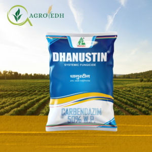 dhanustin fungicide Carbendazim 50% WP systemic fungicide for blast anthracnose and leaf spot control