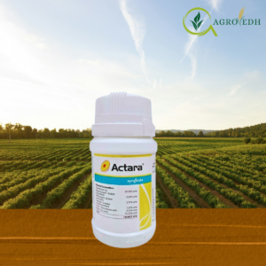 Actara insecticide Thiamethoxam 25 percent WG pack for control of aphids, whiteflies and jassids in cotton and vegetable crops