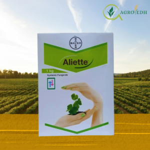 Aliette Fungicide by Bayer containing Fosetyl-Al 80% WP for Downy Mildew and Phytophthora control