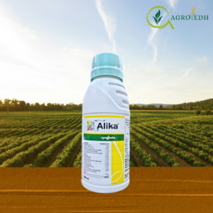 Alika insecticide bottle containing Thiamethoxam 12.6 percent and Lambda-cyhalothrin 9.5 percent ZC for sucking pest control