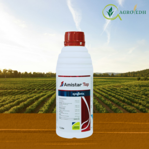 Amistar Top fungicide bottle containing Azoxystrobin 18.2 percent and Difenoconazole 11.4 percent SC by Syngenta