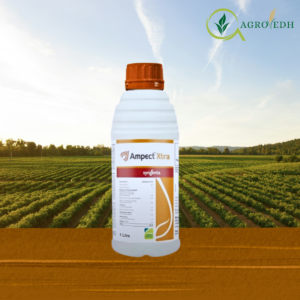 Ampect Xtra dual action fungicide for powdery mildew, rust and blast control