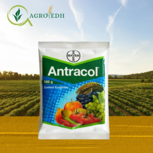 Antracol Fungicide Propineb 70% WP by Bayer for blight and downy mildew control in crops