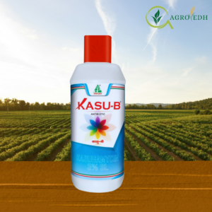 Kasu-B Fungicide containing Kasugamycin 3% SL for control of bacterial leaf blight and leaf spot in crops