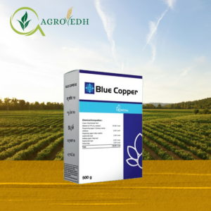 Blue Copper Fungicide containing Copper Oxychloride 50% WP for fungal and bacterial disease control