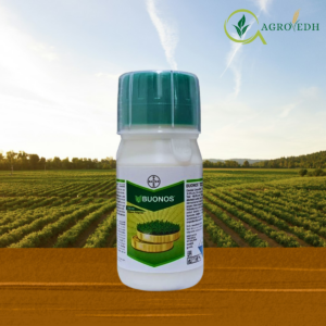 Bayer Buonos fungicide bottle containing Tebuconazole 38.39% SC for systemic disease control