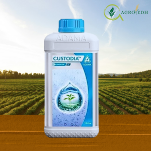 Custodia Fungicide containing Azoxystrobin 11% and Tebuconazole 18.3% SC for fungal disease control