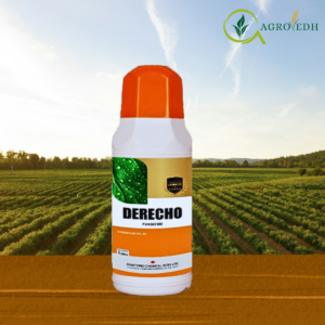 Derecho Ethaboxam 40% SC fungicide bottle for Downy Mildew and Late Blight control