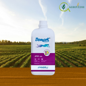 Domark Fungicide containing Tetraconazole 3.8% EW systemic triazole fungicide for powdery mildew control in grapes and chilli