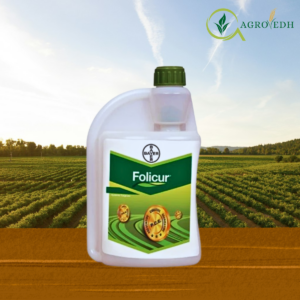 Folicur Fungicide containing Tebuconazole 25.9% EC for systemic fungal disease control