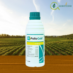 Folio Gold fungicide containing Metalaxyl-M 3.3% and Chlorothalonil 33.1% SC for Downy Mildew and Late Blight control