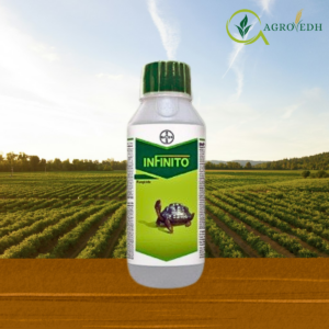 Infinito Fungicide Fluopicolide 5.56% and Propamocarb Hydrochloride 55.6% SC bottle for Late Blight and Downy Mildew control