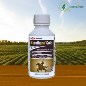 Karathane Gold Fungicide containing Meptyldinocap 35.7% EC for Powdery Mildew control in grapes and vegetables