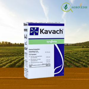 Kavach Fungicide Chlorothalonil 75 WP Contact Fungicide for Blight and Leaf Spot Control
