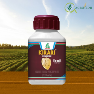 Kirari Fungicide containing Amisulbrom 20 percent SC for Downy Mildew and Late Blight control