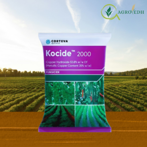Kocide 2000 Fungicide Copper Hydroxide 53.8% DF by Corteva Agriscience