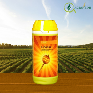 Lihocin PGR containing 50% Chlormequat Chloride soluble liquid plant growth regulator for cotton and wheat crops