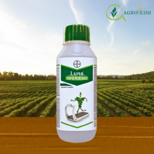 Luna Experience Fungicide containing Fluopyram 17.7% and Tebuconazole 17.7% SC bottle packaging