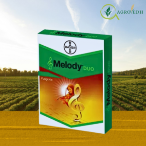 Melody Duo Fungicide Iprovalicarb 5.5% and Propineb 61.25% WP for Downy Mildew and Late Blight control