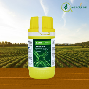 Merivon Fungicide by BASF containing Fluxapyroxad 250g per litre and Pyraclostrobin 250g per litre SC formulation bottle image