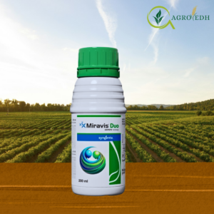 Miravis Duo Fungicide Pydiflumetofen 6.89% Difenoconazole 11.49% SC by Syngenta