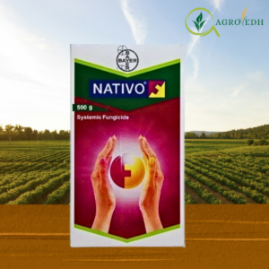Nativo Fungicide containing Tebuconazole 50 percent and Trifloxystrobin 25 percent WG for powdery mildew and rust control