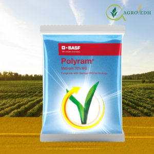 Polyram Fungicide Metiram 70% WG contact fungicide for grapes potato tomato apple disease control