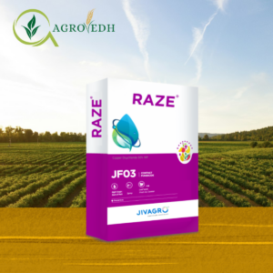 raze fungicide containing Copper Oxychloride 50% WP for fungal and bacterial disease control