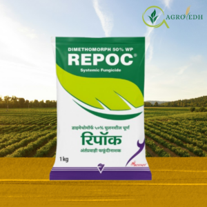 Repoc Fungicide Dimethomorph 50% WP systemic fungicide for Downy Mildew and Late Blight control