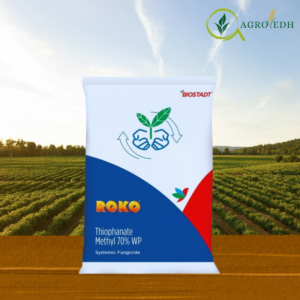 Roko Fungicide containing Thiophanate Methyl 70% WP systemic fungicide for powdery mildew and anthracnose control
