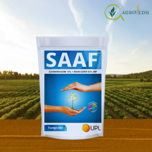 Saaf Fungicide Carbendazim 12% Mancozeb 63% WP Wettable Powder for blight and leaf spot control