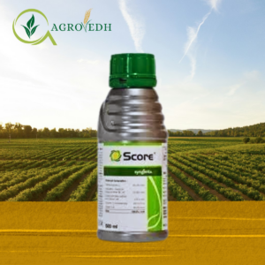 Score Fungicide Difenoconazole 25% EC systemic fungicide for powdery mildew control