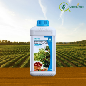 Shamir Fungicide containing Tebuconazole 6.7% and Captan 26.9% wettable powder for fungal disease control