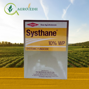 systhane fungicide Myclobutanil 10 percent WP systemic fungicide for powdery mildew control in grapes and chilli