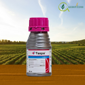 Taspa Fungicide containing Propiconazole 13.9 percent and Difenoconazole 13.9 percent EC bottle for fungal disease control