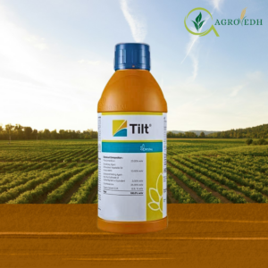 Tilt Fungicide Propiconazole 25% EC systemic triazole fungicide bottle for rust and powdery mildew control