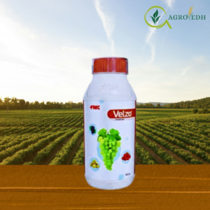 Velzo Fungicide pack containing Valifenalate 6% and Mancozeb 60% WG for blight and downy mildew control