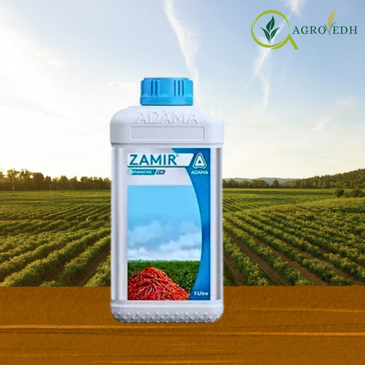 Zamir Fungicide Prochloraz 24.4% + Tebuconazole 12.1% EW Zamir Fungicide bottle containing Prochloraz 24.4 percent and Tebuconazole 12.1 percent EW for blast and anthracnose control