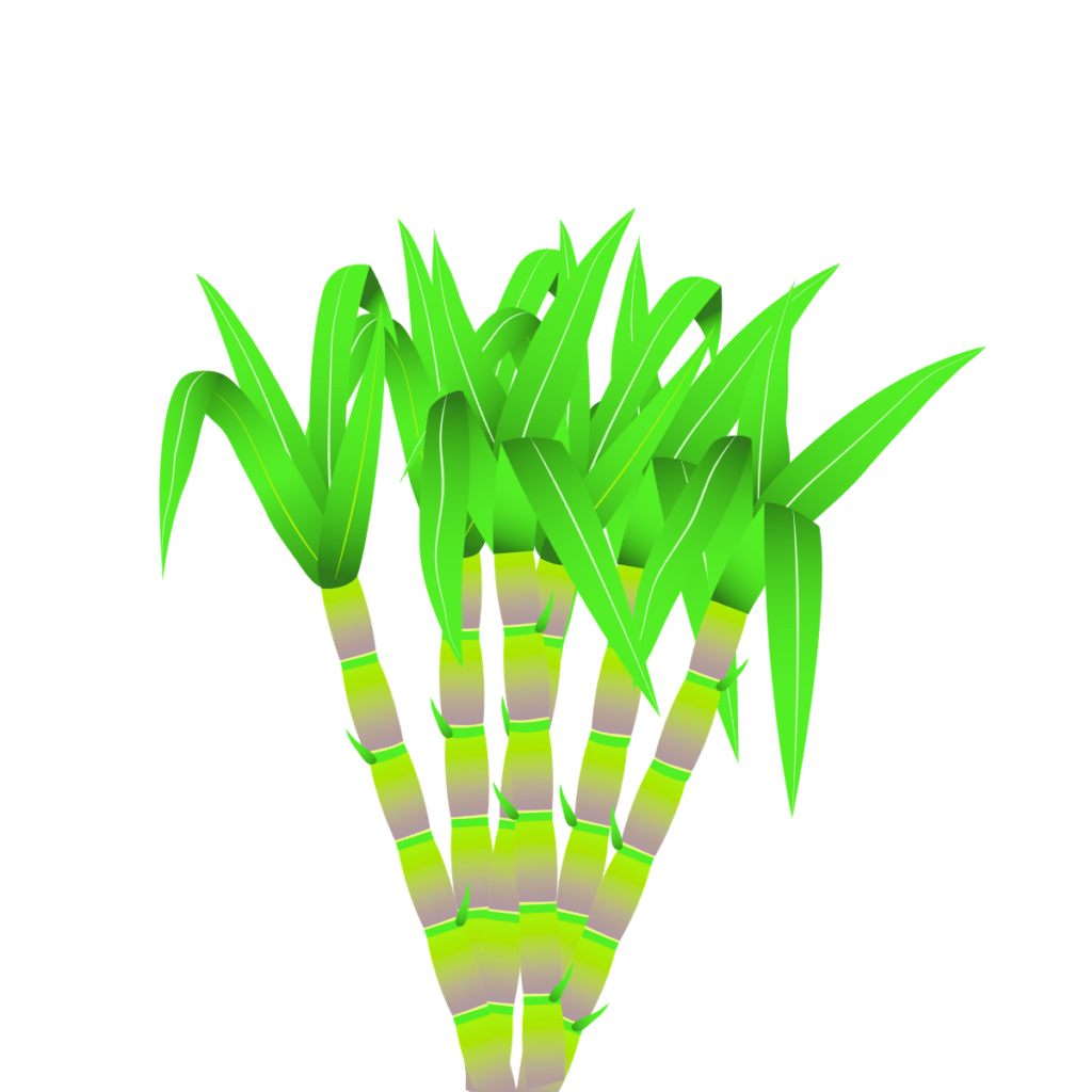 Sugarcane crop wise shop