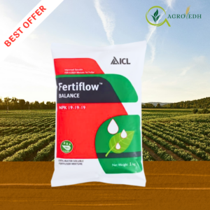 ICL Fertiflow Balance 19:19:19 NPK water soluble fertilizer for balanced crop nutrition