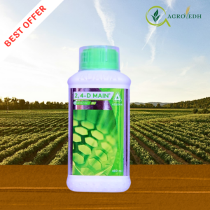Adama 2,4-D Main Herbicide 2 4-D Amine Salt 58 SL selective systemic herbicide for broadleaf weed control