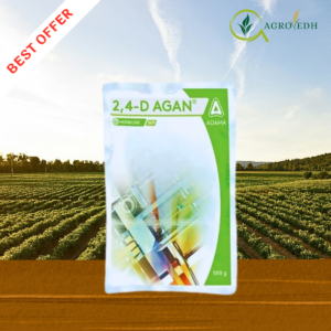 2,4-D AGAN herbicide 2,4-D sodium salt 80 WP selective systemic herbicide for broadleaf weed control in wheat rice maize