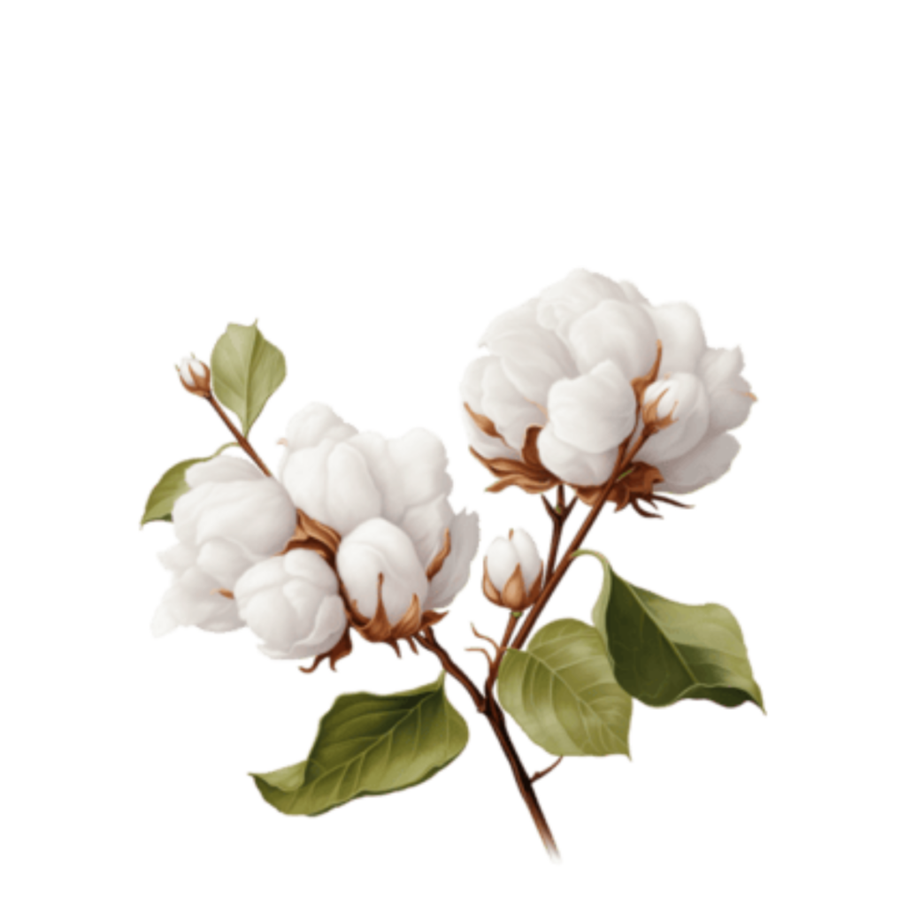 Cotton crop wise shop