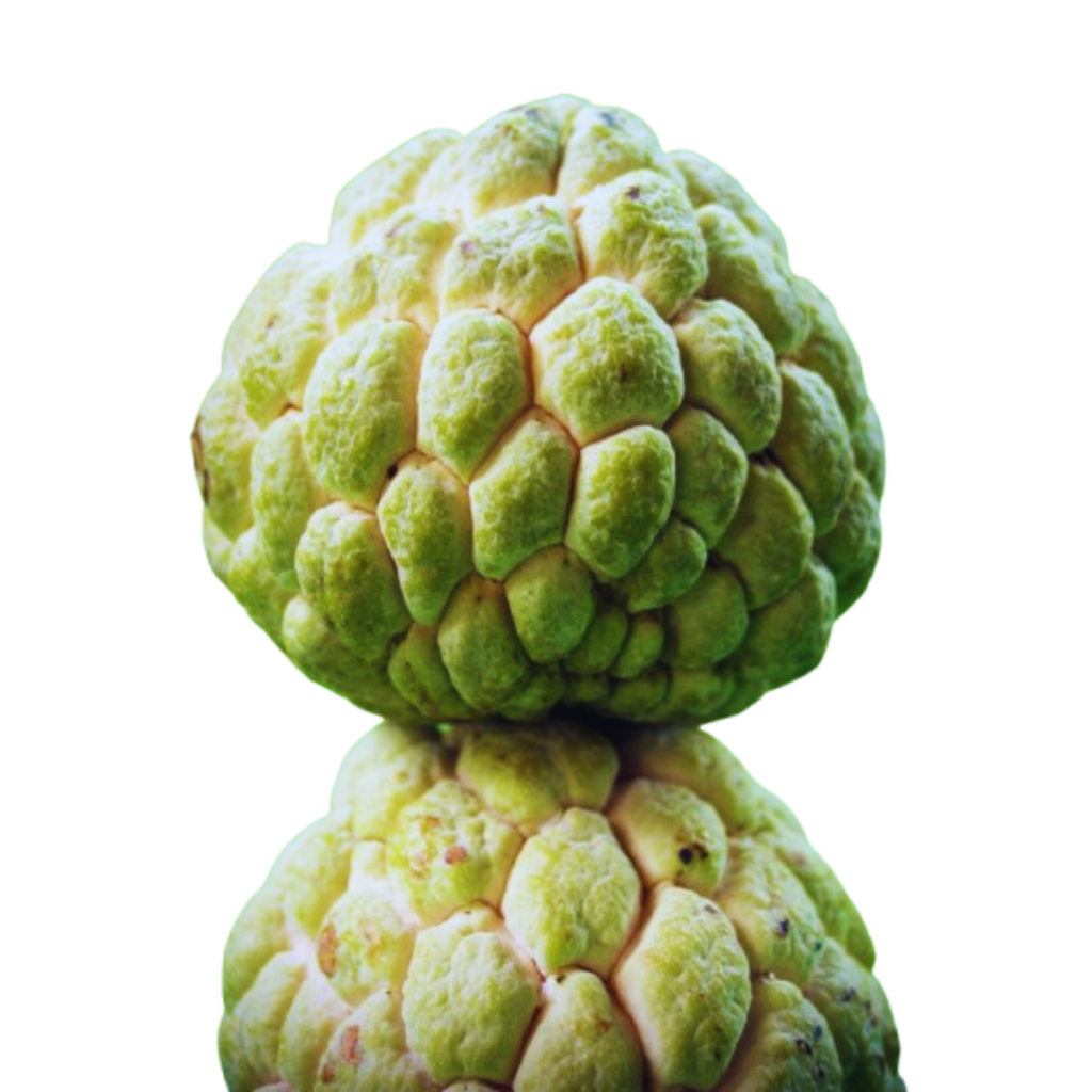 Custard Apple crop wise shop