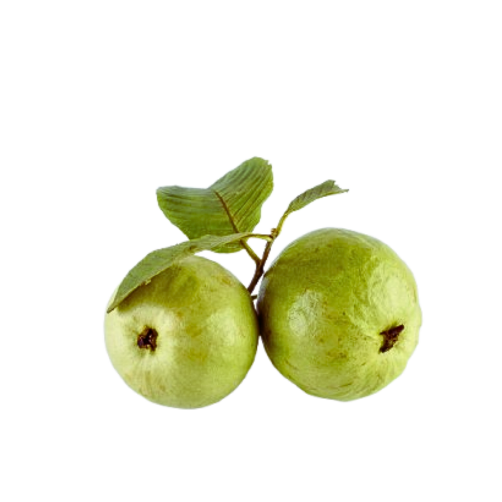 Guava crop wise shop