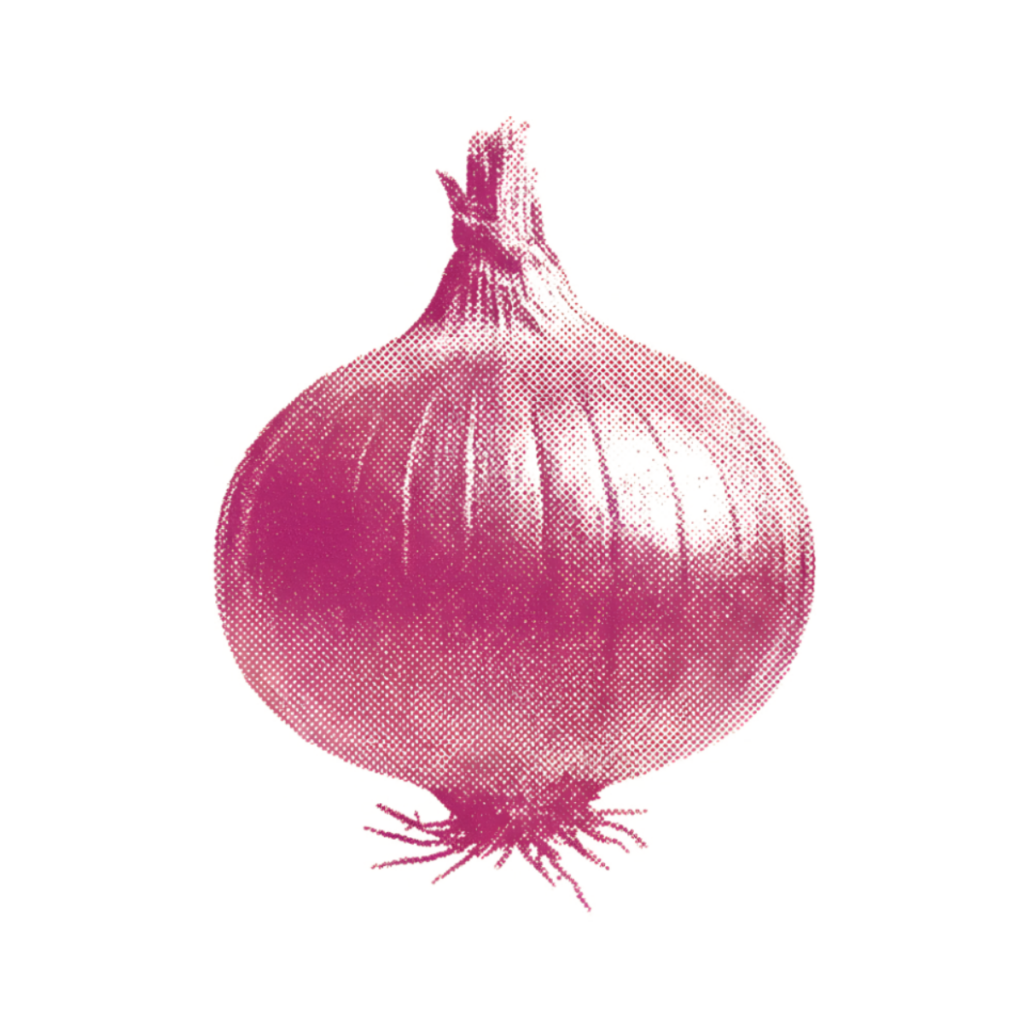 Onion crop wise shop