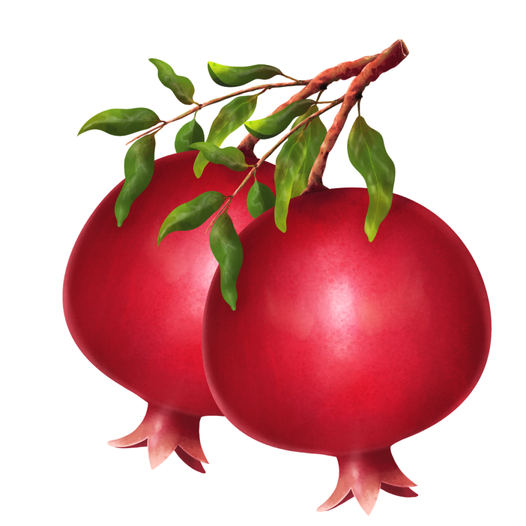 Pomegranate crop wise shop