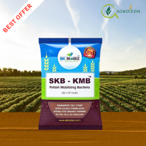 SKB KMB Potash Mobilizing Bacteria biofertilizer for improving potassium availability in crops