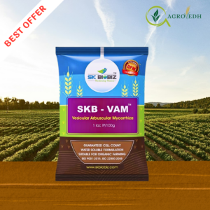 SKB VAM Vesicular Arbuscular Mycorrhiza biofertilizer for improving root growth and phosphorus uptake in crops